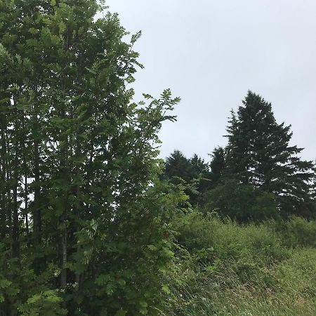 BallaghaderreenPat'S Placeアパートメント エクステリア 写真
