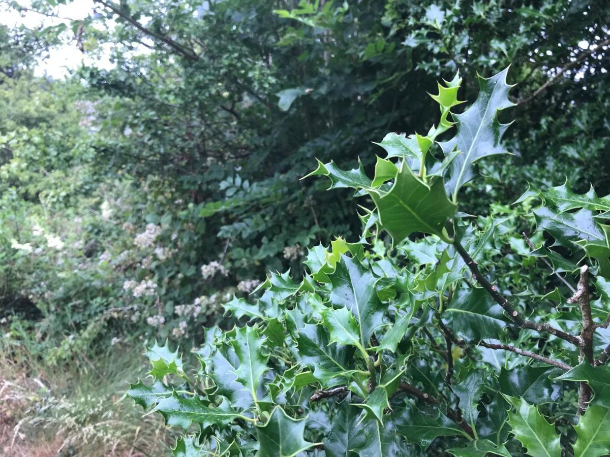 BallaghaderreenPat'S Placeアパートメント エクステリア 写真