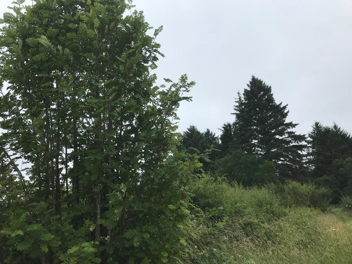 BallaghaderreenPat'S Placeアパートメント エクステリア 写真